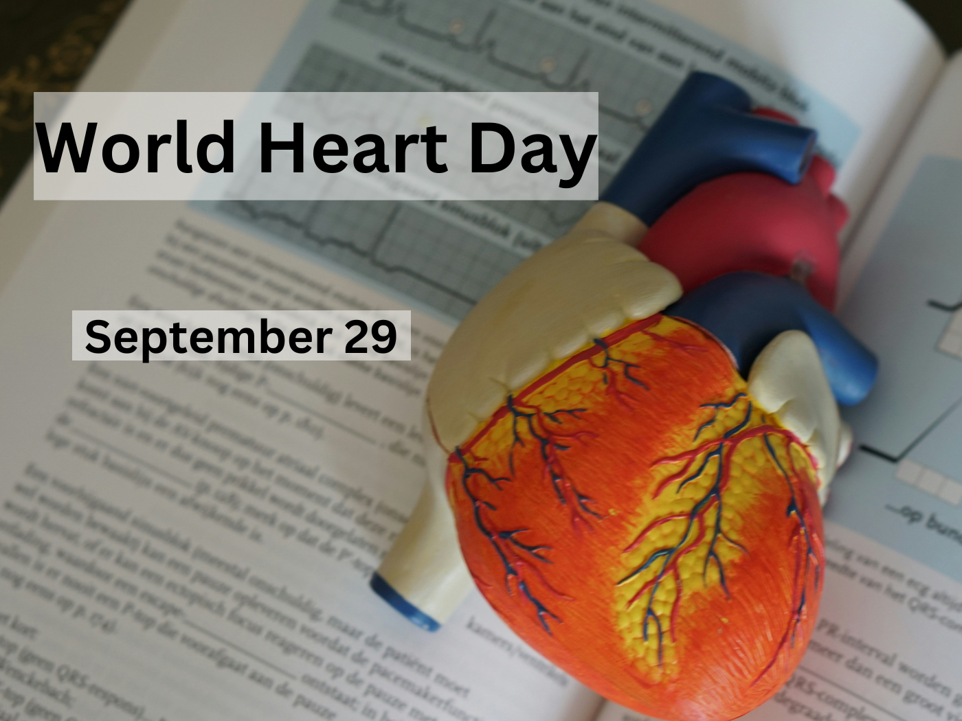 World Heart Day