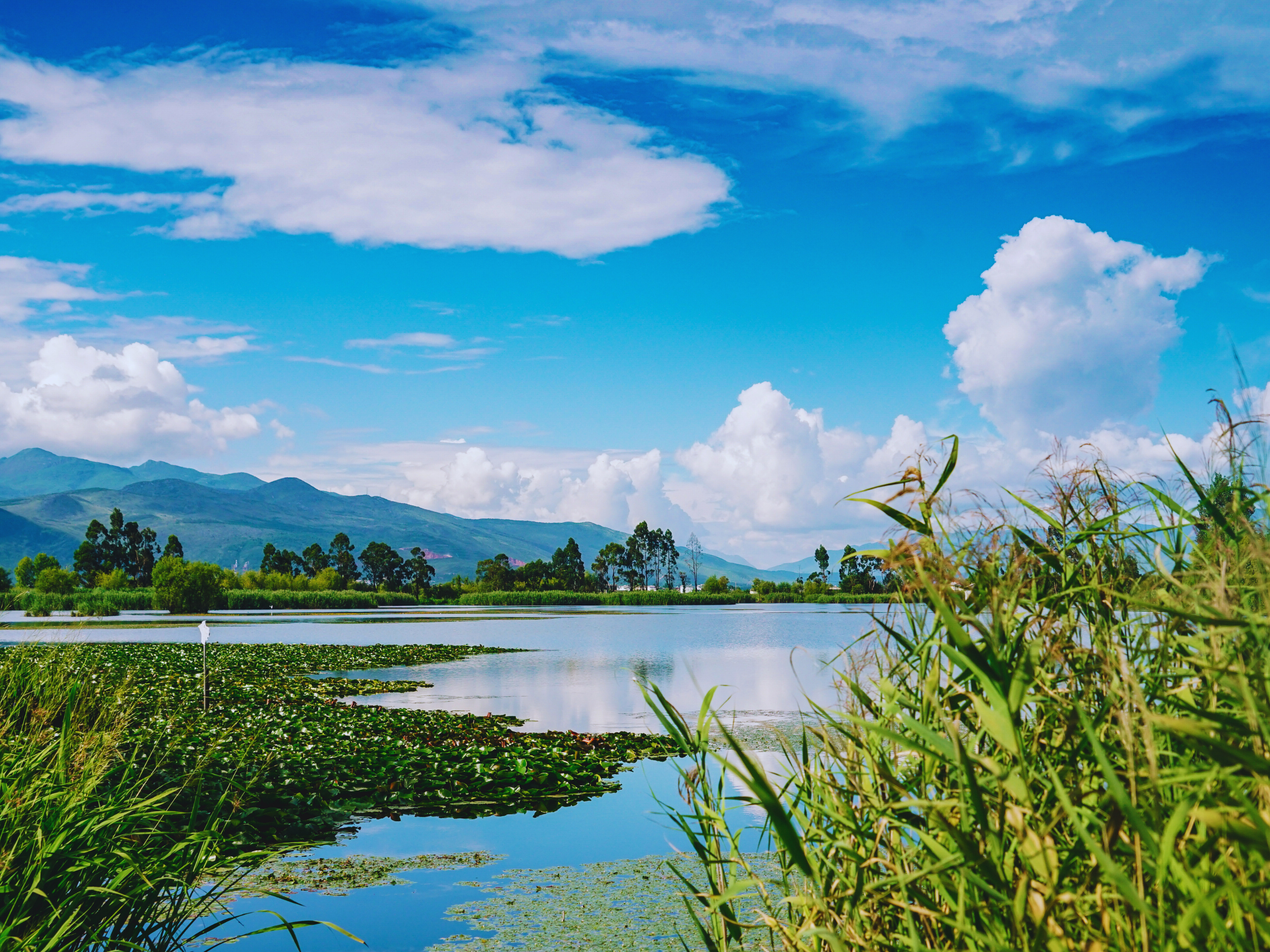 Día Mundial de los Humedales