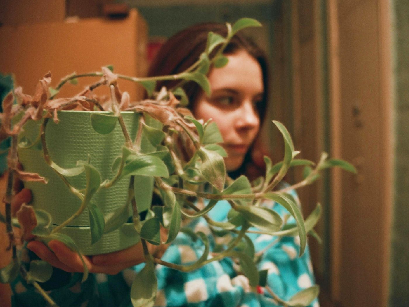 Plant Something Day