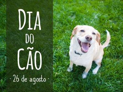 Que dia é o dia do cão?