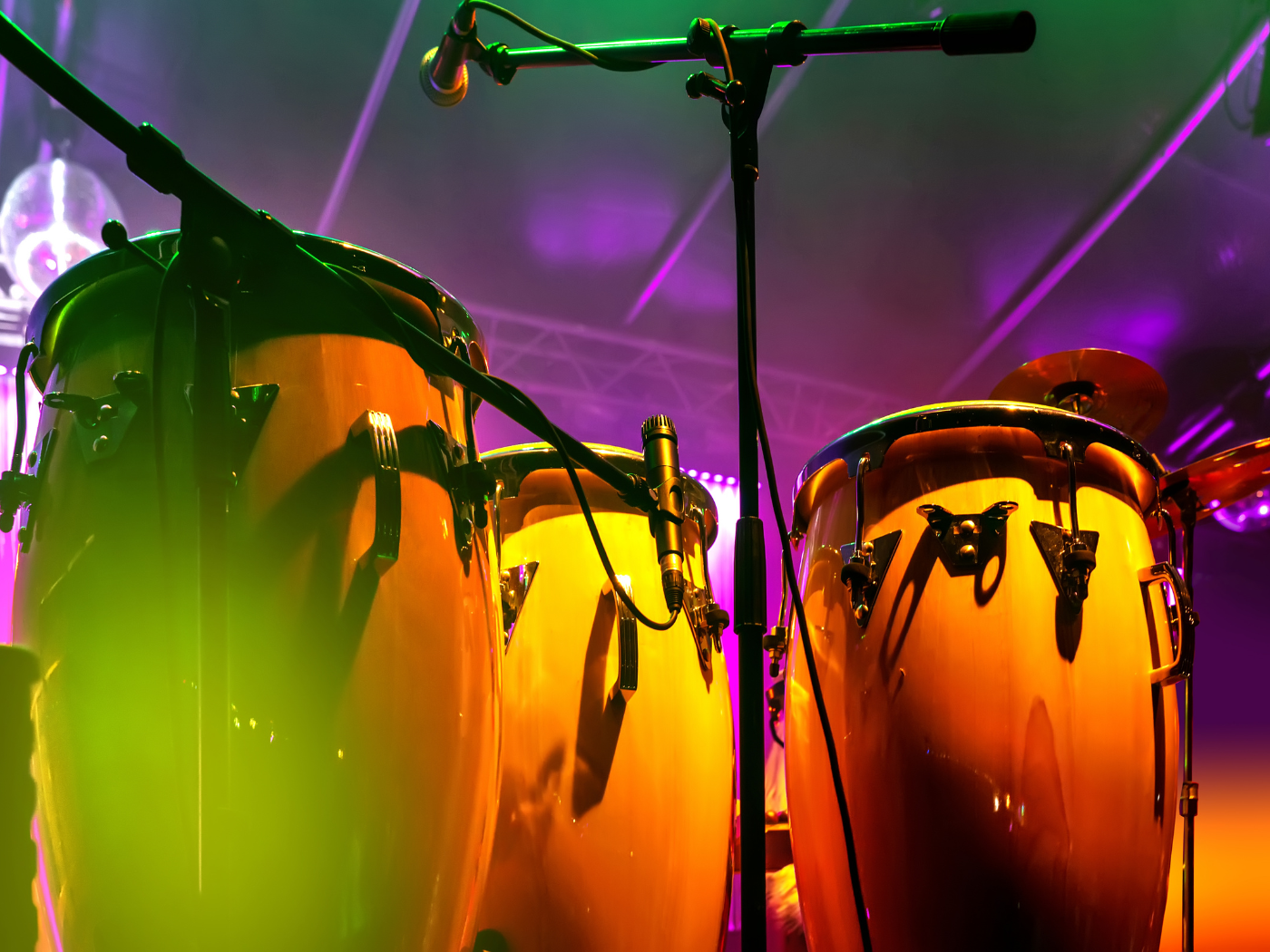 Dia Nacional do Reggae