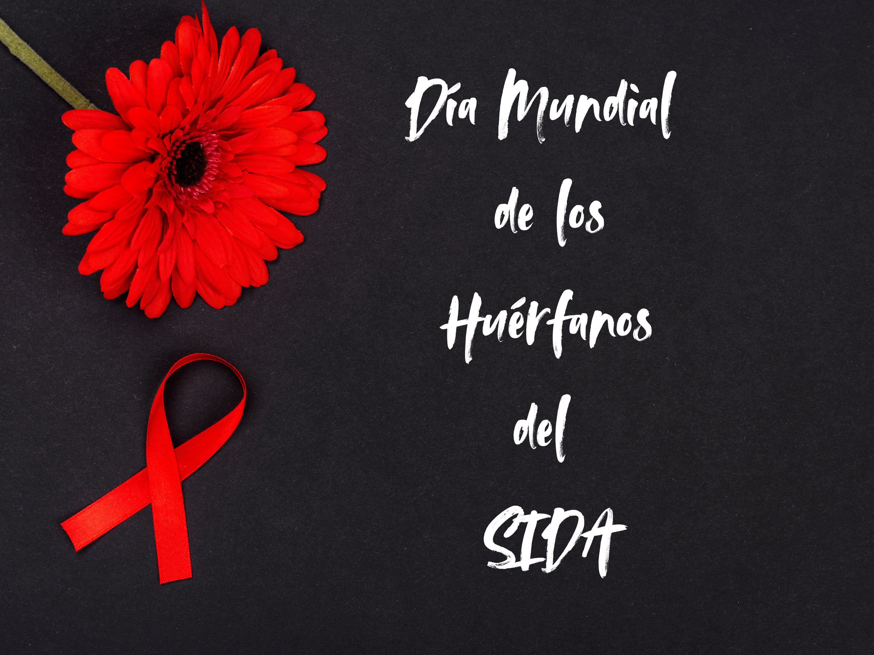 Día Mundial de los Huérfanos del SIDA