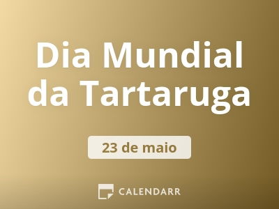 Dia Mundial da Tartaruga