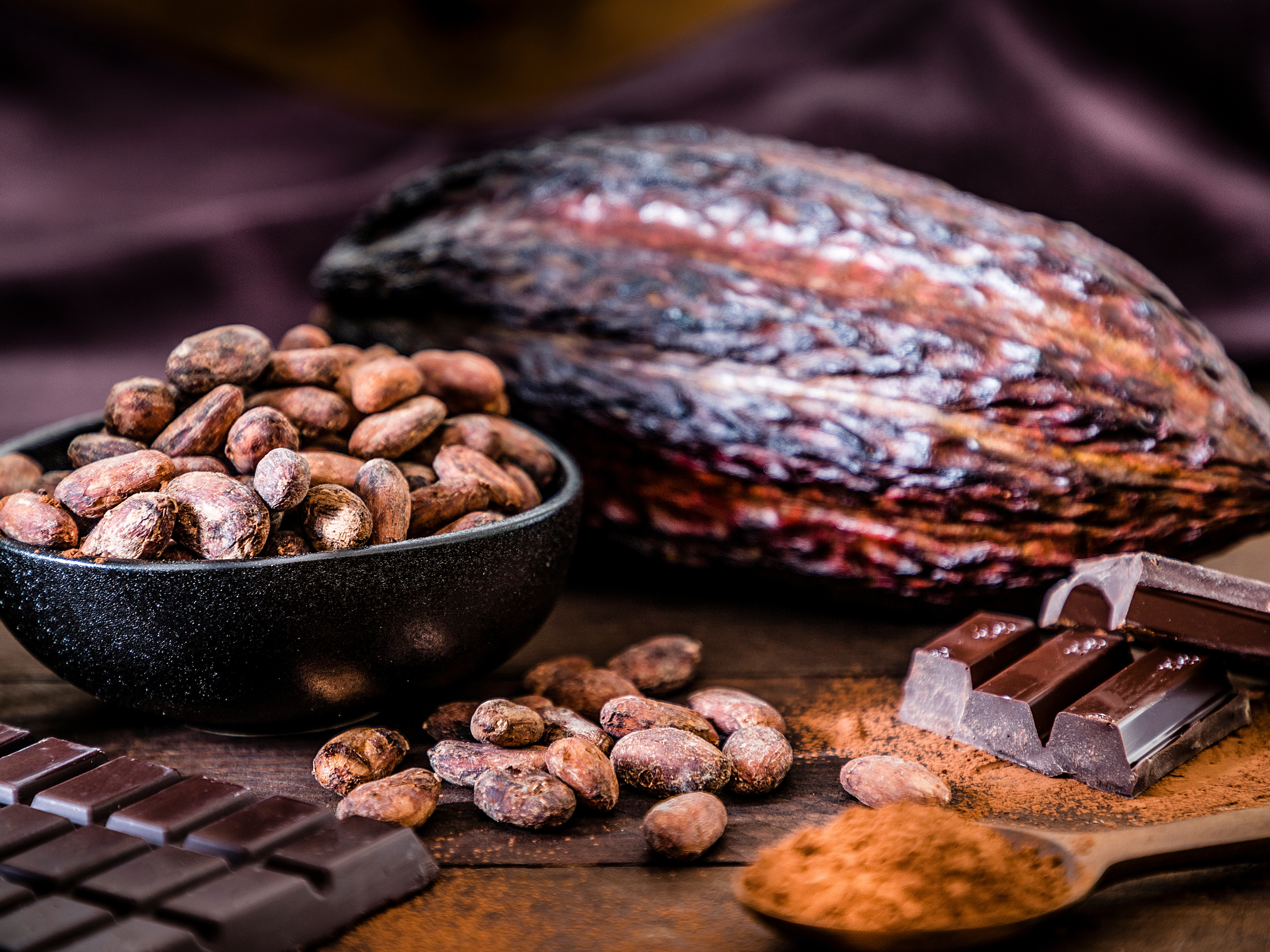 Día Mundial del Cacao