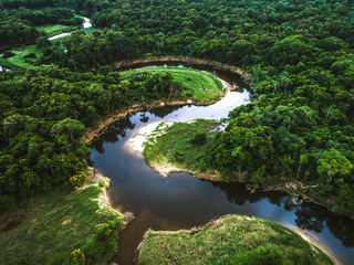 Dia Nacional da Mata Atlântica