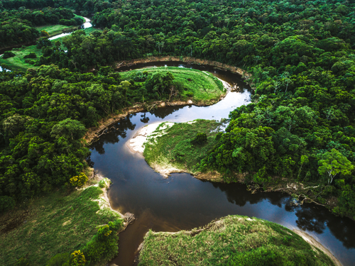 Dia Nacional da Mata Atlântica