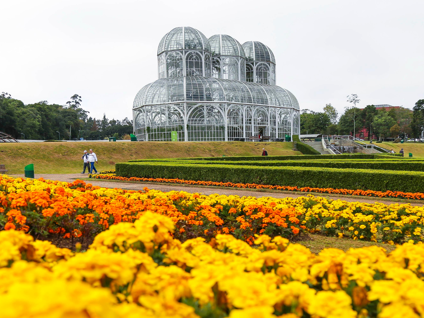 Aniversário de Curitiba