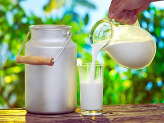 Día Mundial de la Leche
