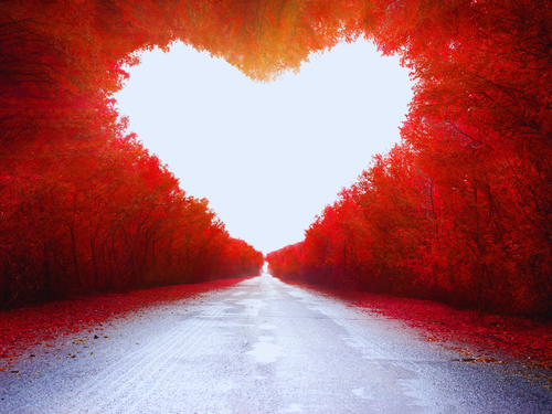 Día Mundial del Amor