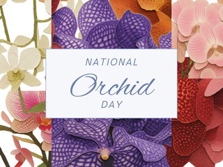 National Orchid Day