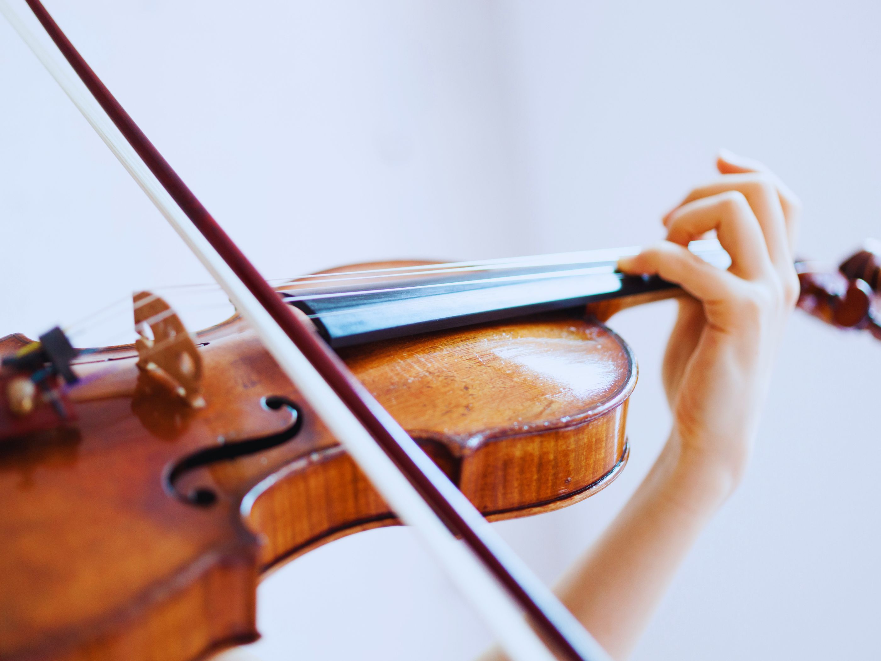 Día Internacional del Violín