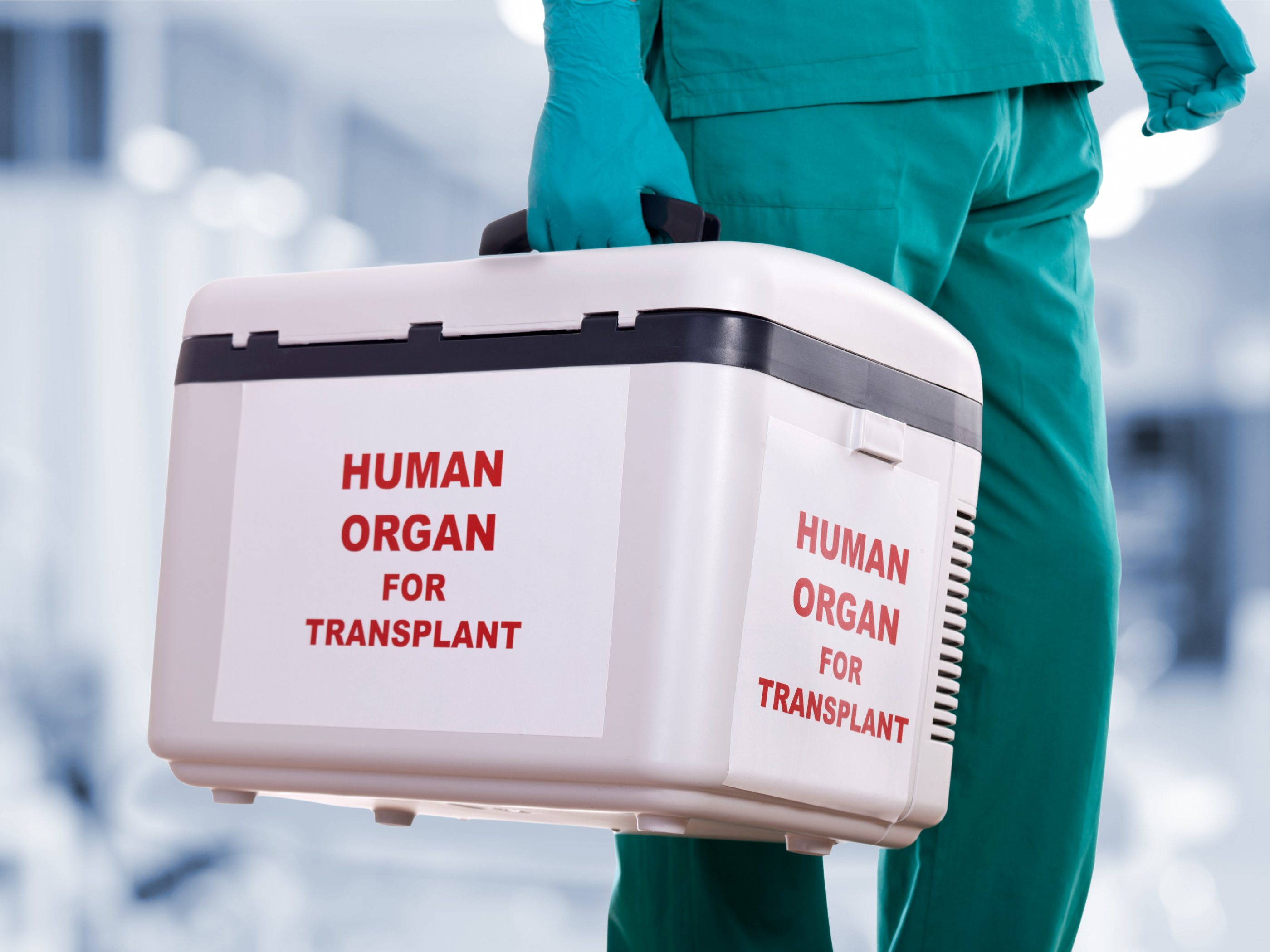 Día Mundial de los Pacientes Trasplantados