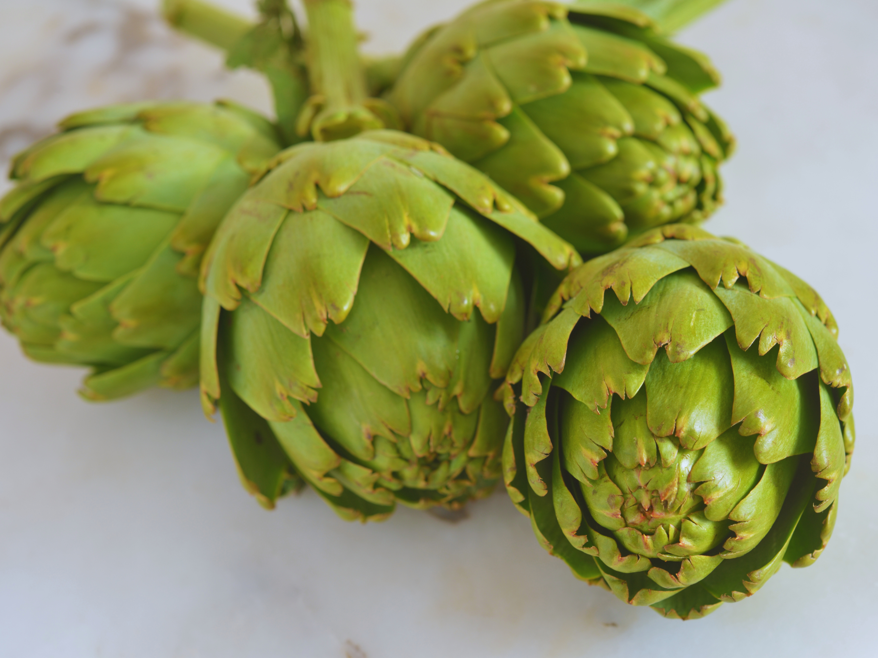 Día Mundial de la Alcachofa