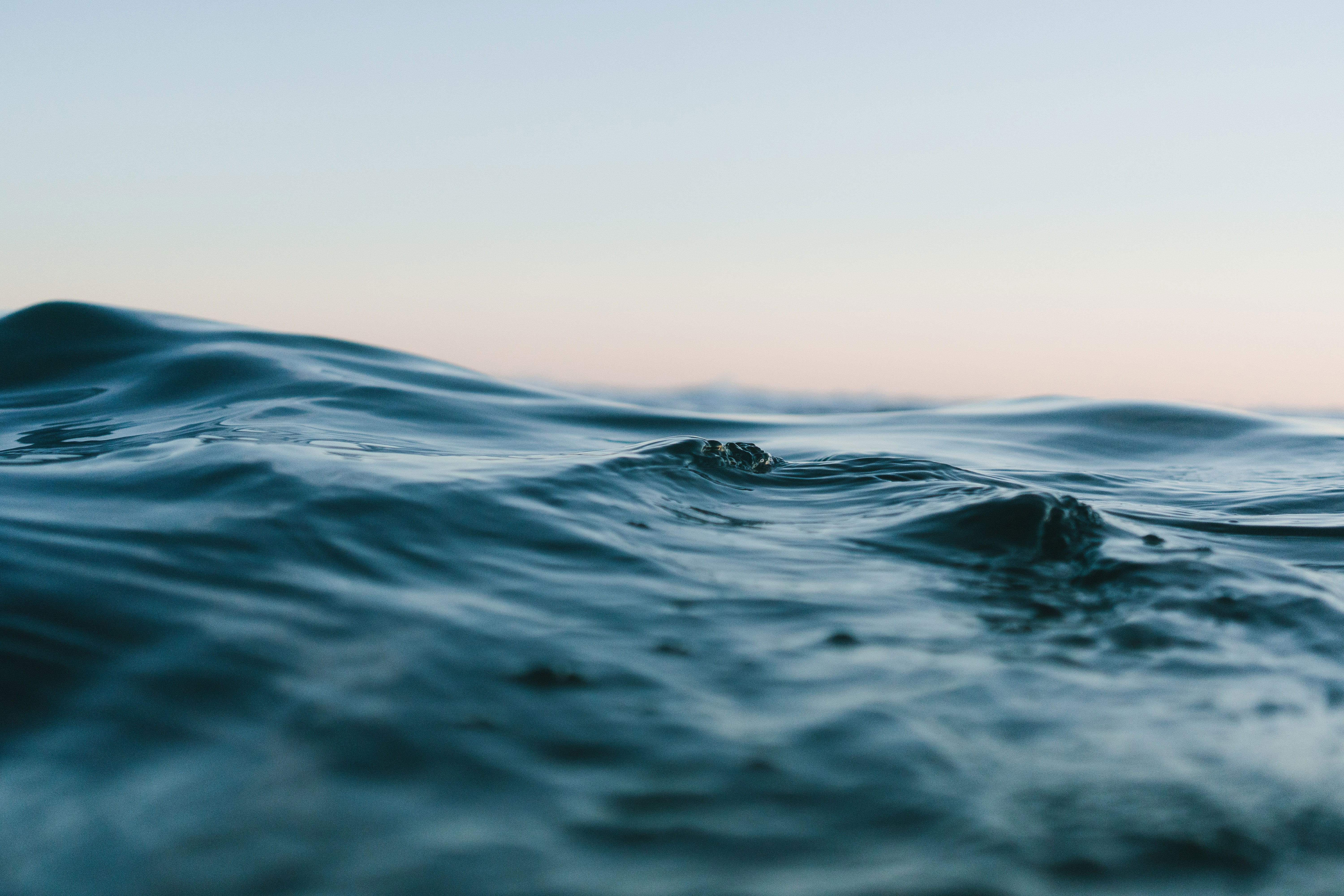 World Oceans Day