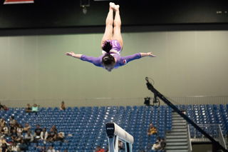 National Gymnastics Day