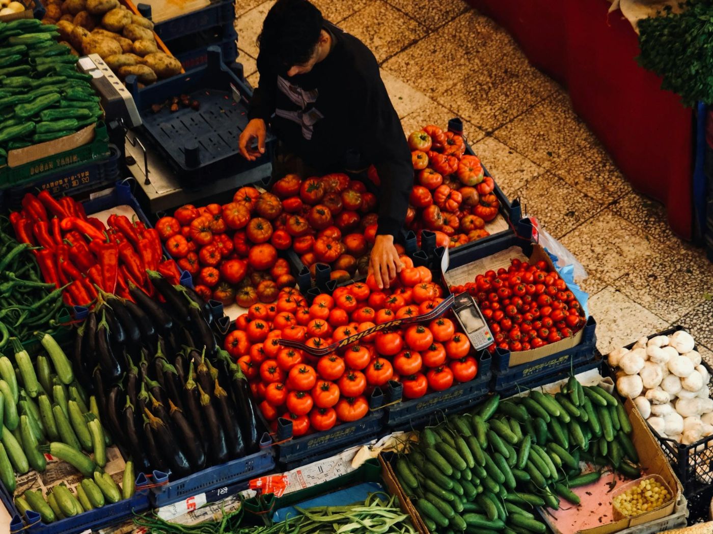Eat More Fruits and Vegetables Day