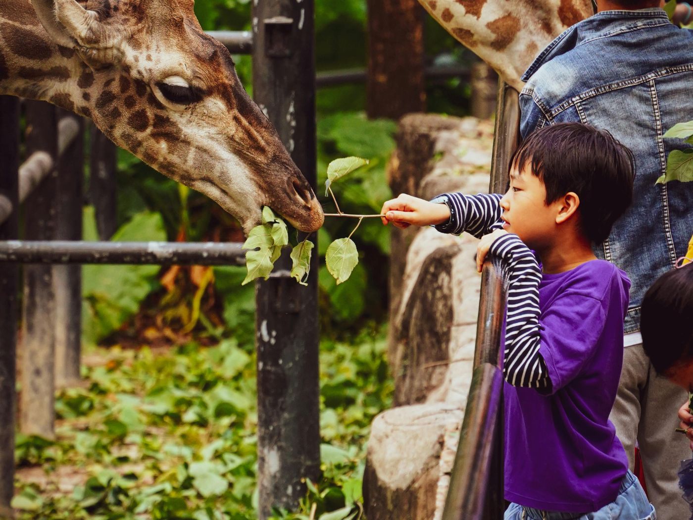 National Zoo Lovers Day