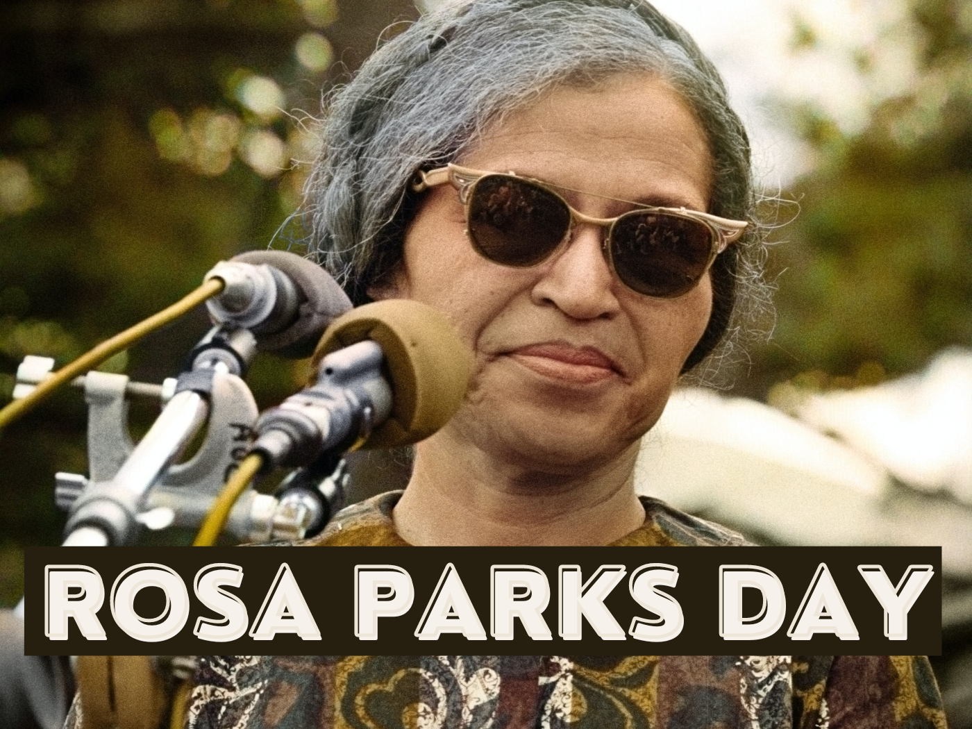 Rosa Parks Day February 4 Calendarr