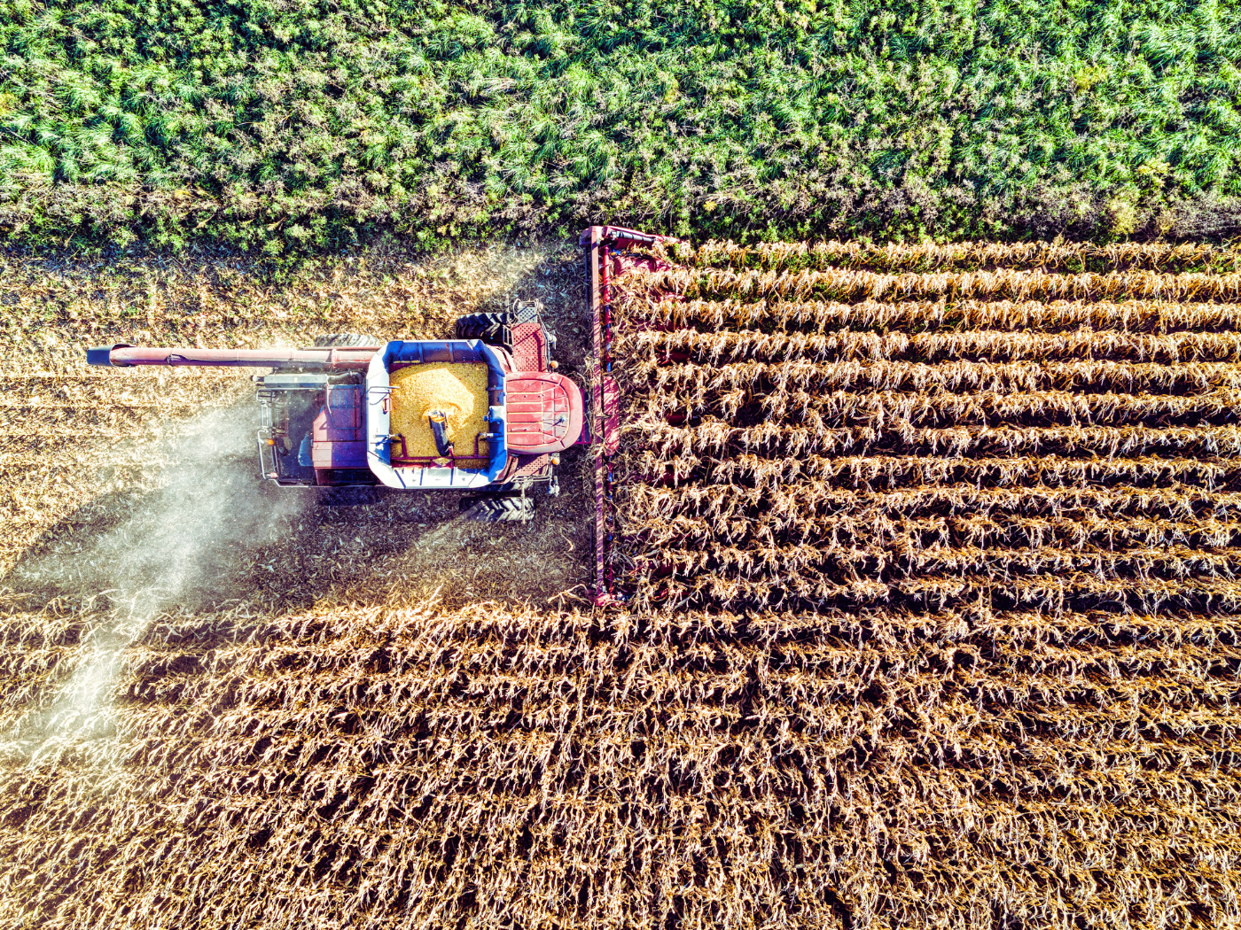 Dia da Agricultura