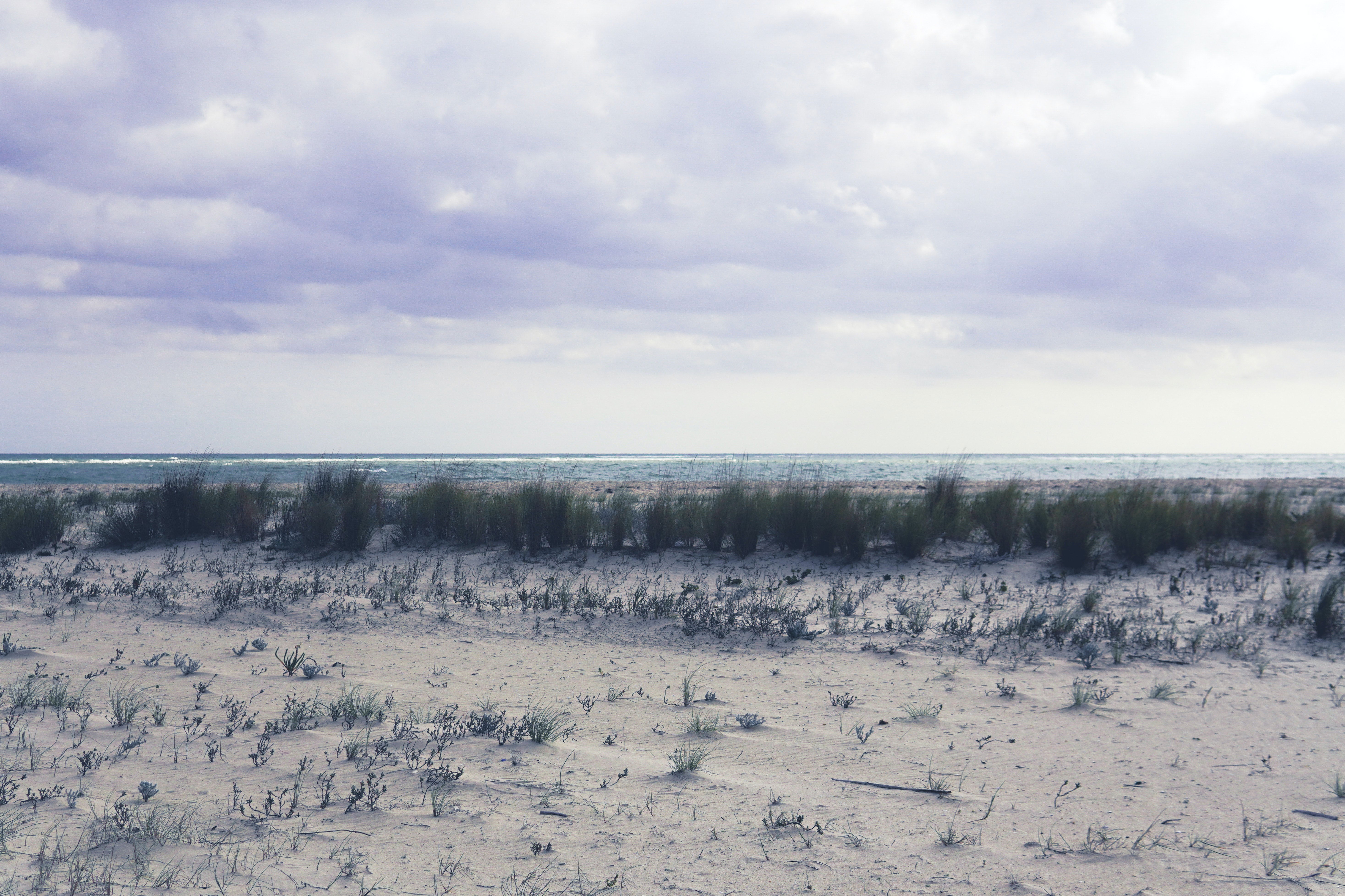 National Beach Day