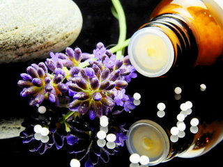 World Homeopathy Day