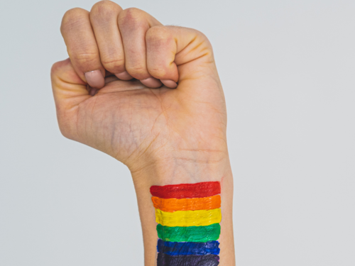 Dia Internacional Contra a Homofobia