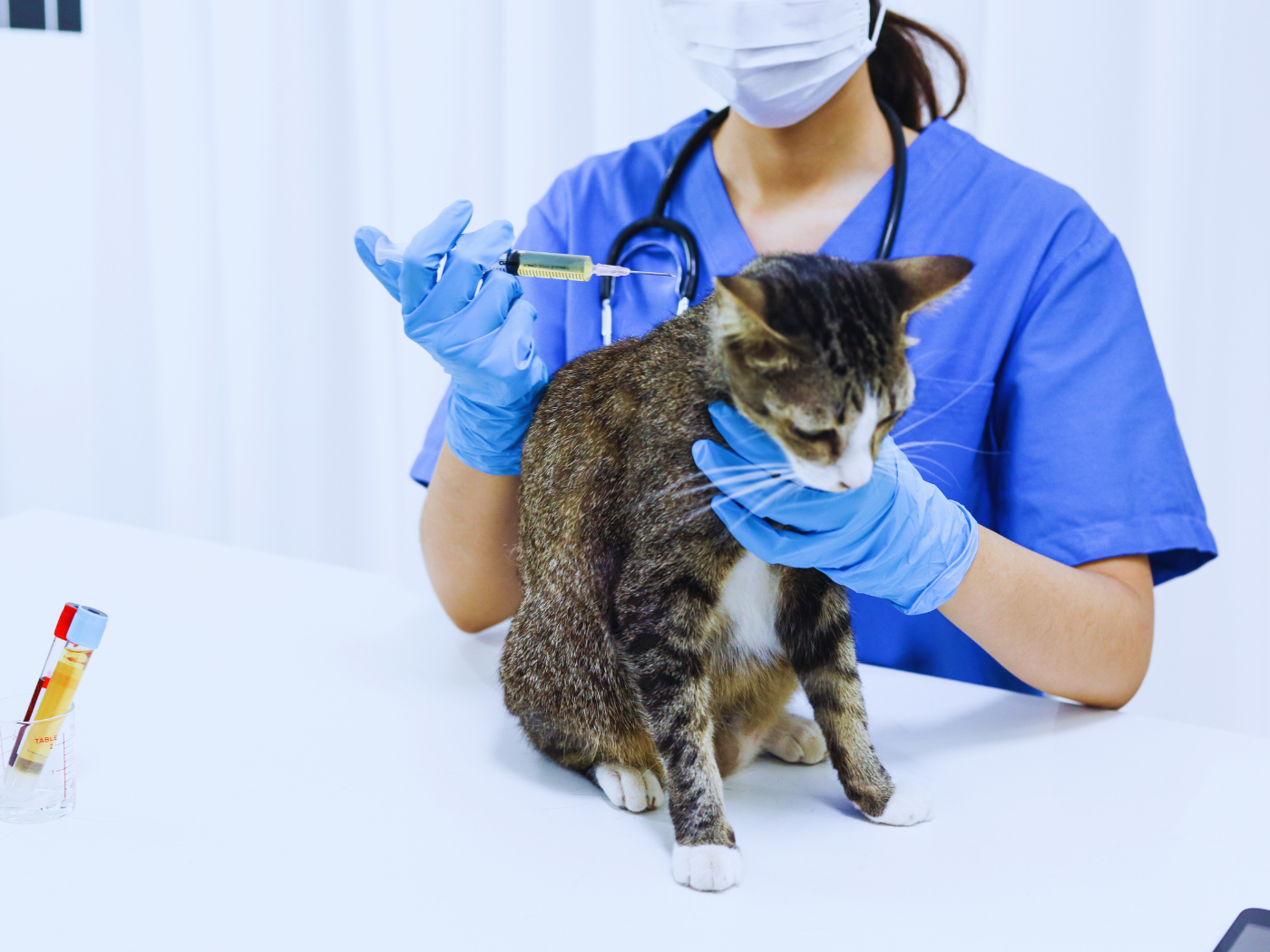 Dia do Médico Veterinário
