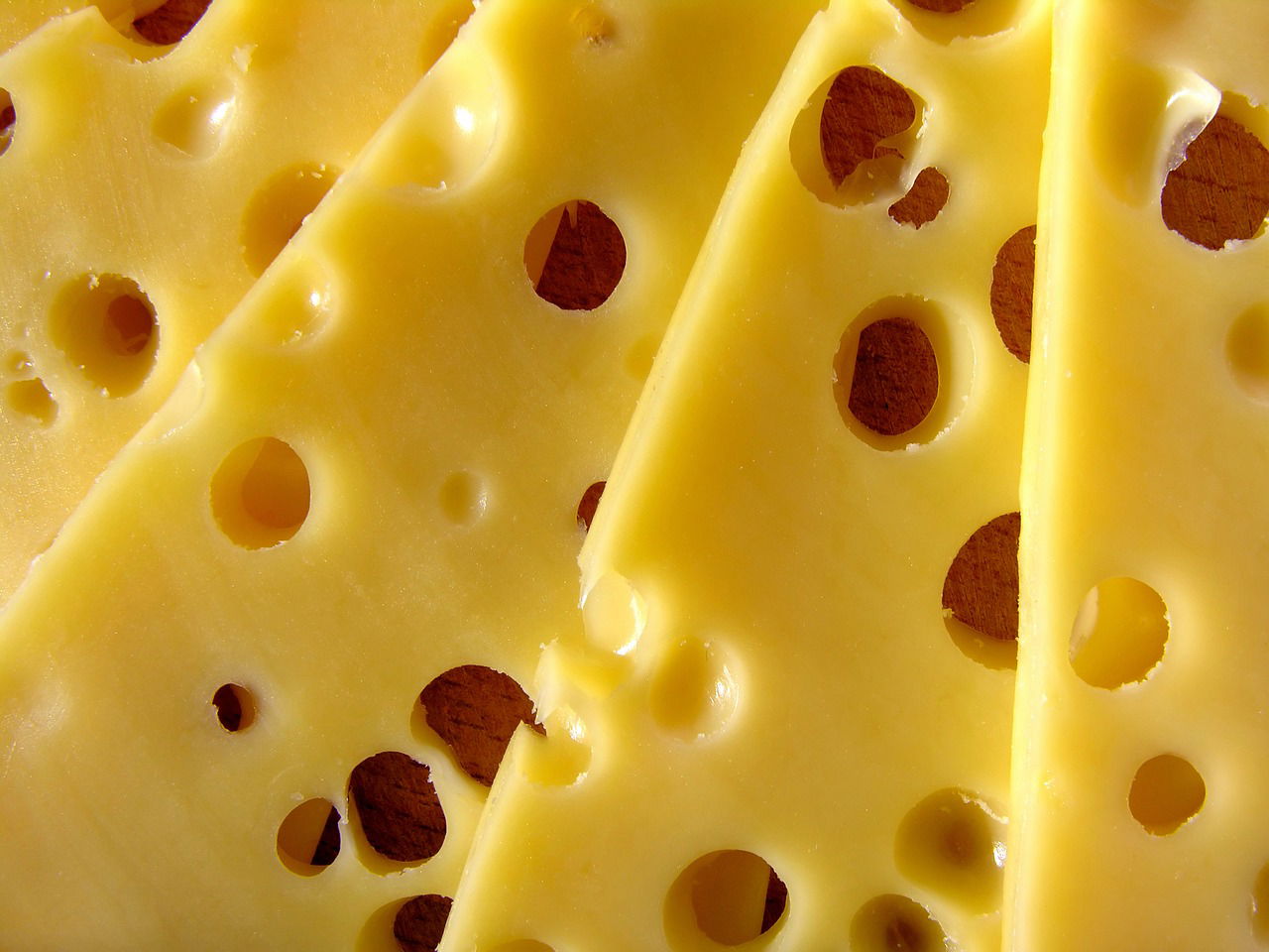 Say Cheese And Indulge in Cheesy Delights on National Cheese Day June