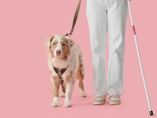 Seeing-Eye Guide Dog Anniversary