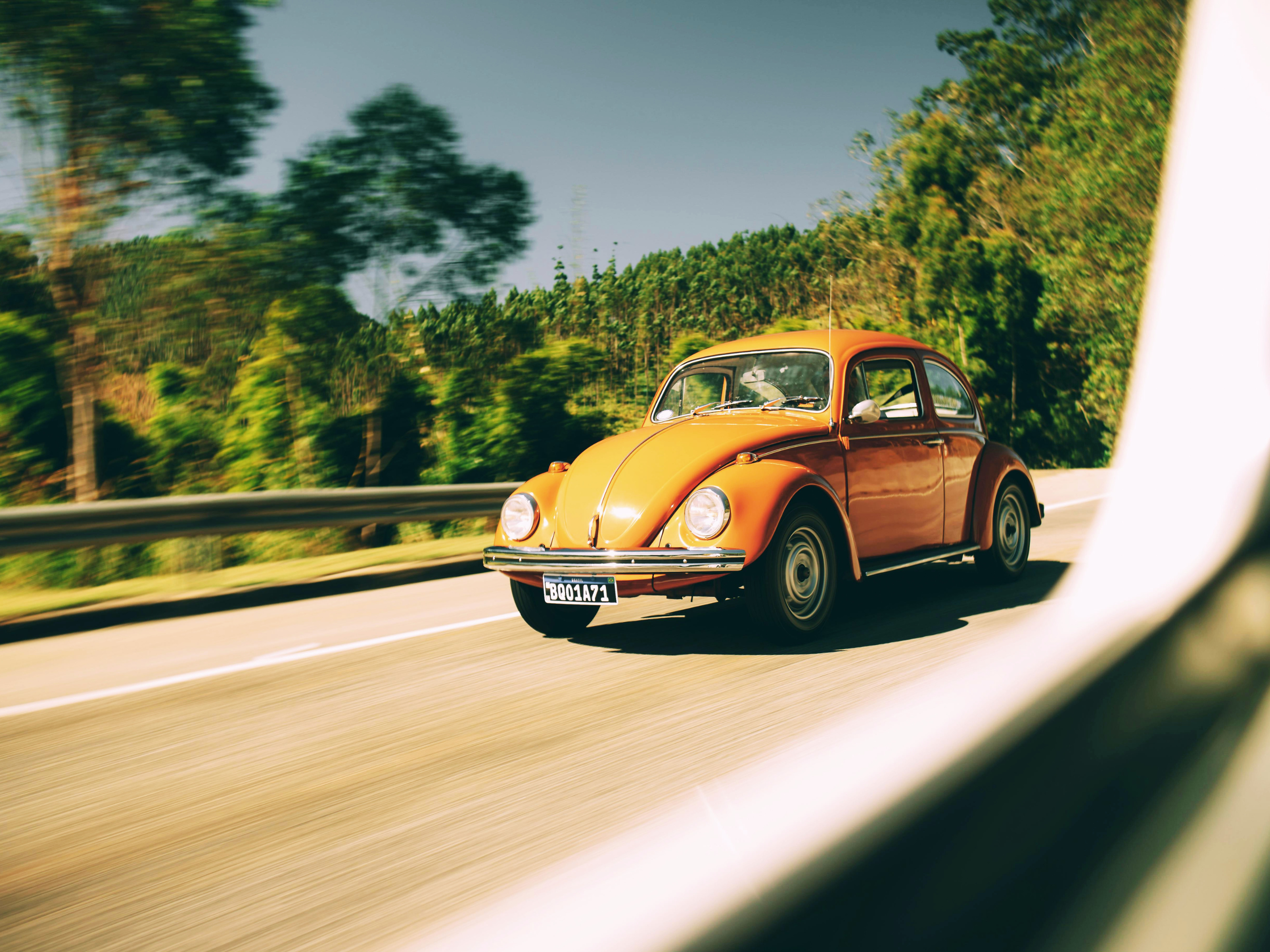 Día Mundial del Volkswagen Beetle