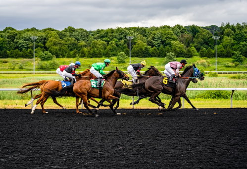 Belmont Stakes