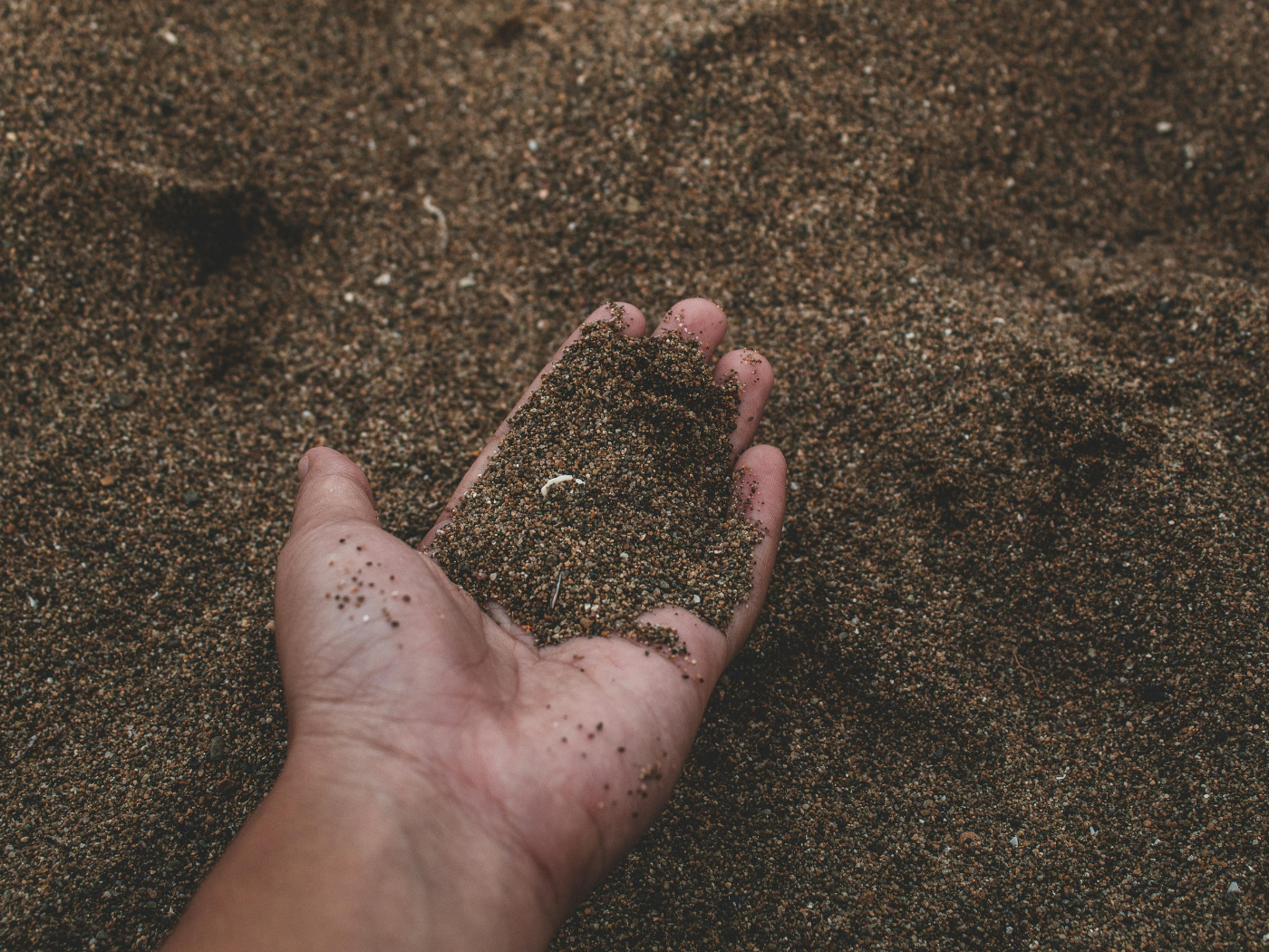 World Soil Day