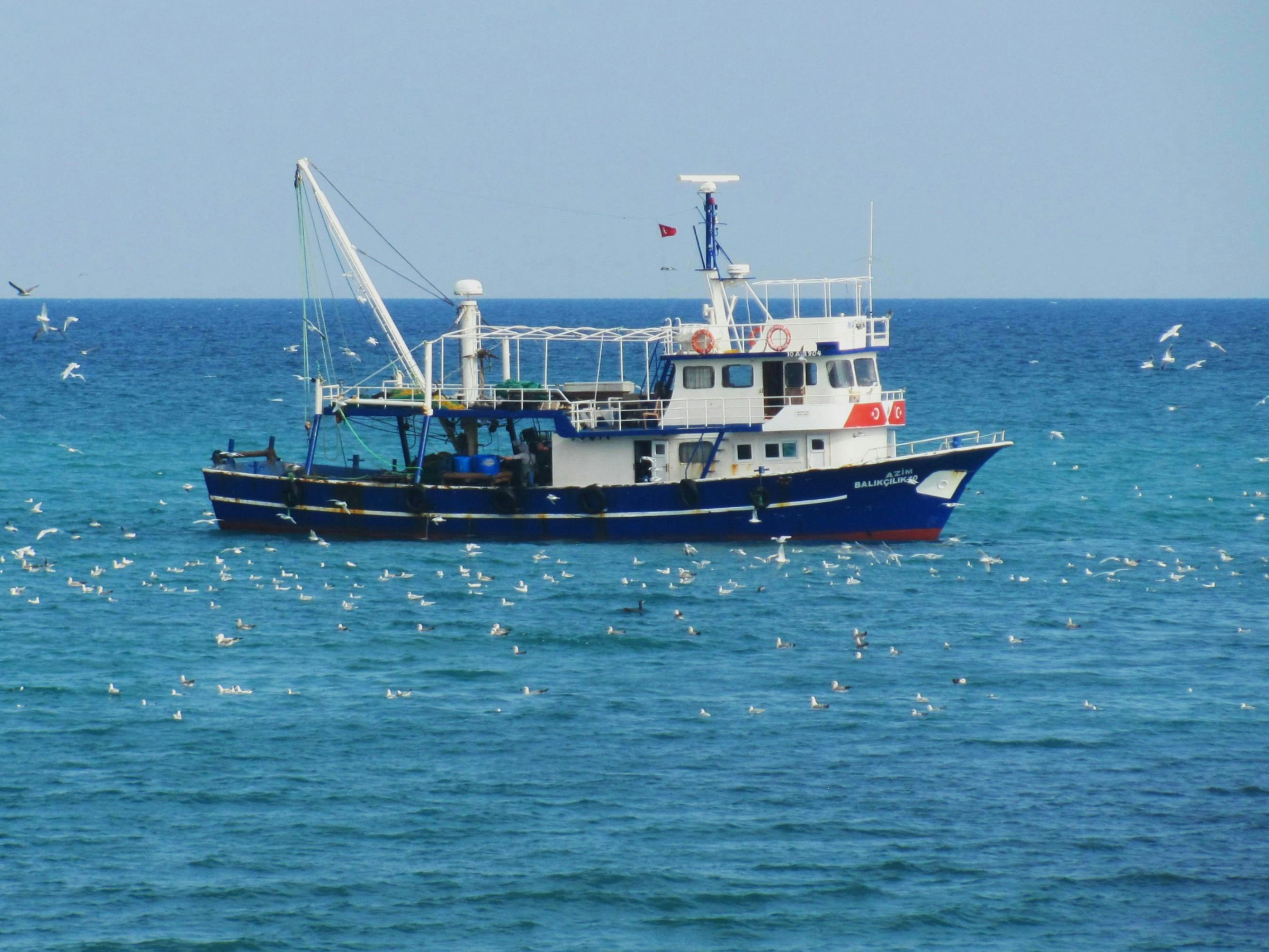 Día Internacional de la Lucha contra la Pesca Ilegal