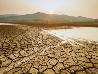 Día de Lucha contra la Desertificación y la Sequía