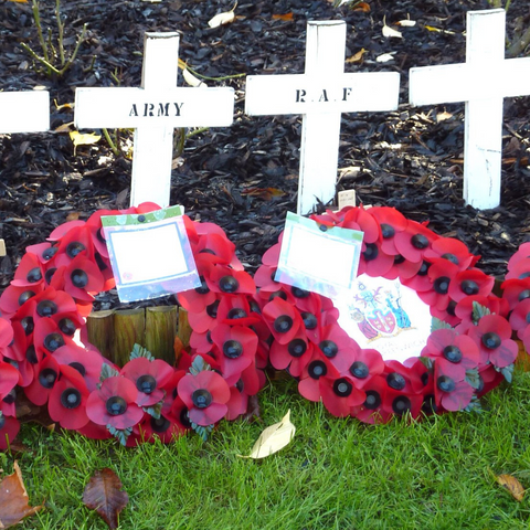 What colour poppies are worn for remembrance day