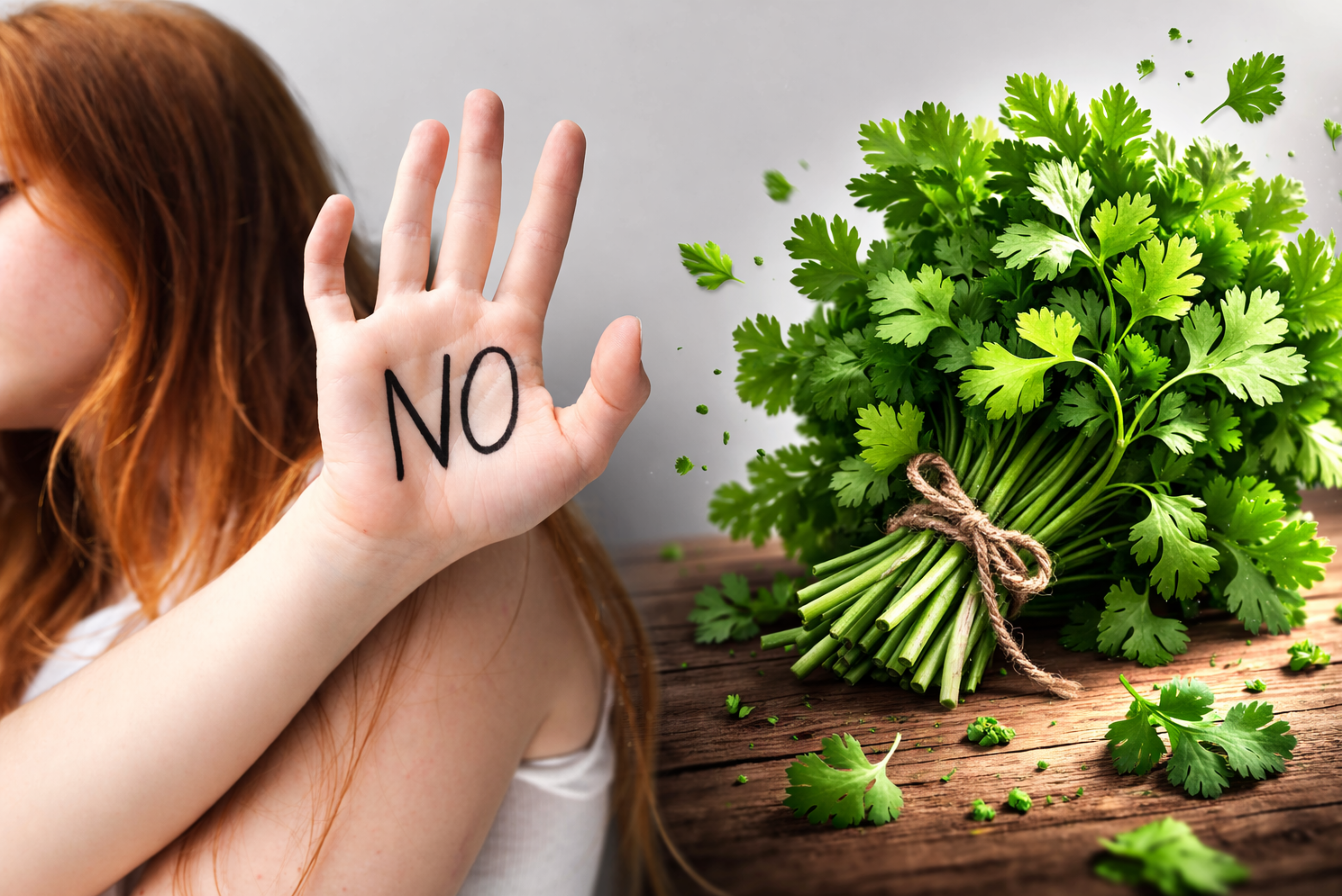 I Hate Coriander Day