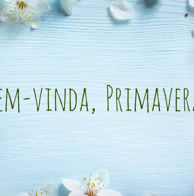 Anandra - A primavera chegou trazendo muitas novidades por