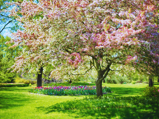 Início da Primavera