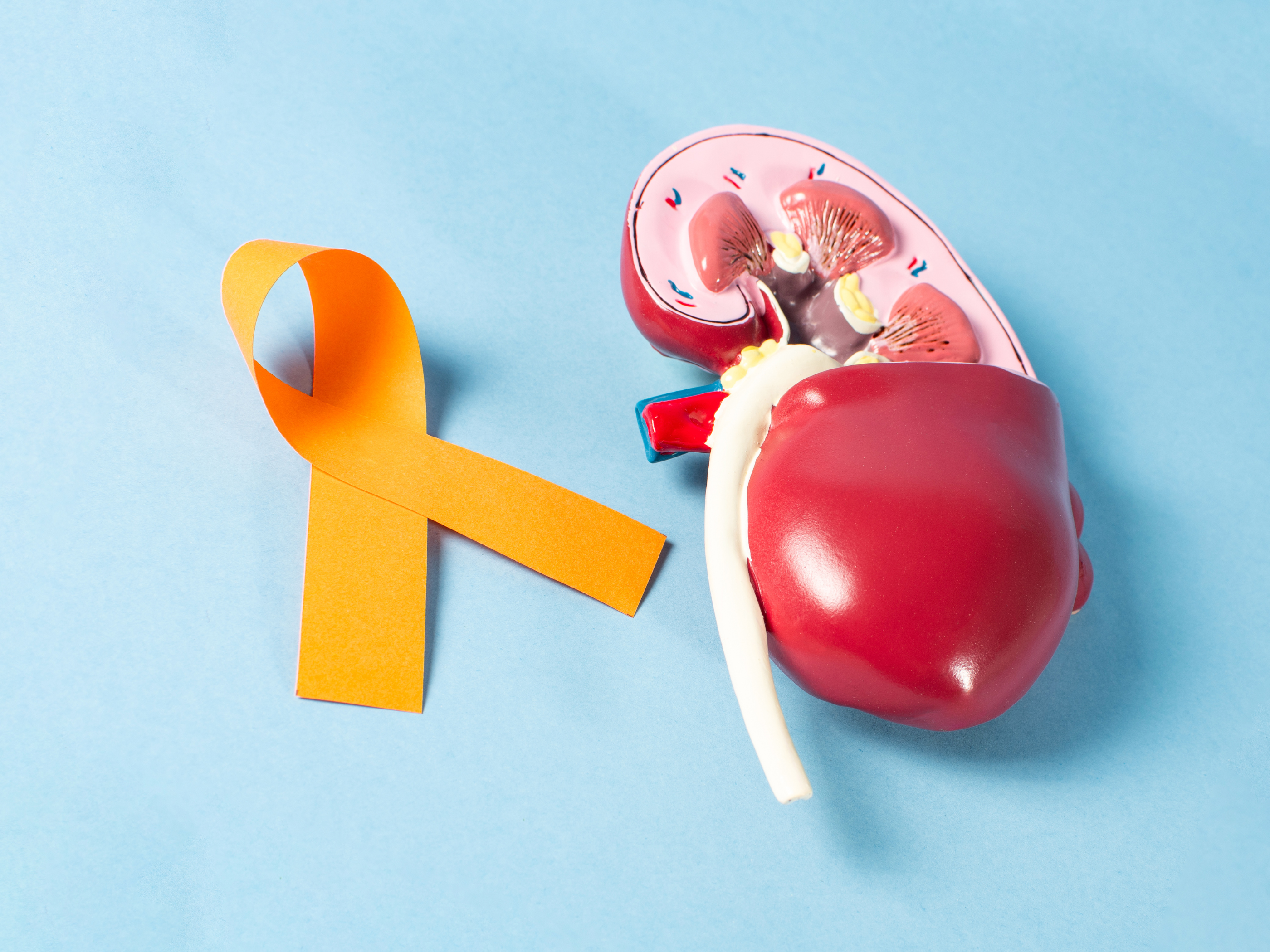 Día Mundial del Cáncer de Riñón