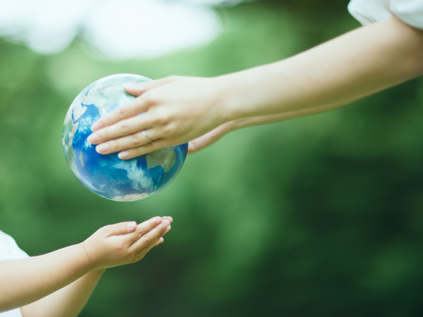 Dia Mundial das ONGs