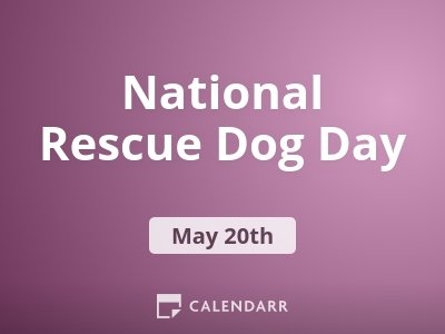 National Rescue Dog Day May 20 Calendarr