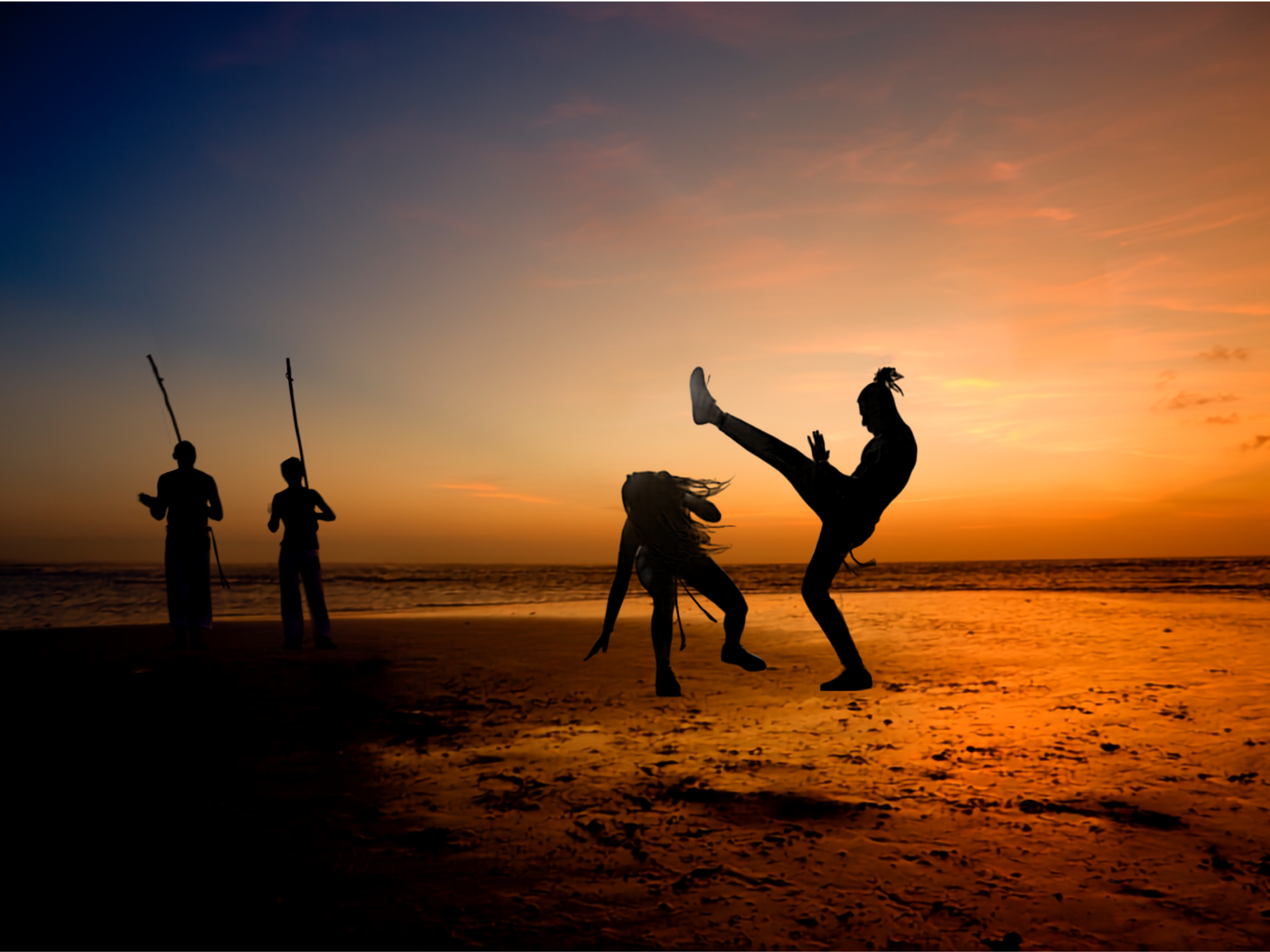 Día del Capoeirista