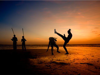 Día del Capoeirista