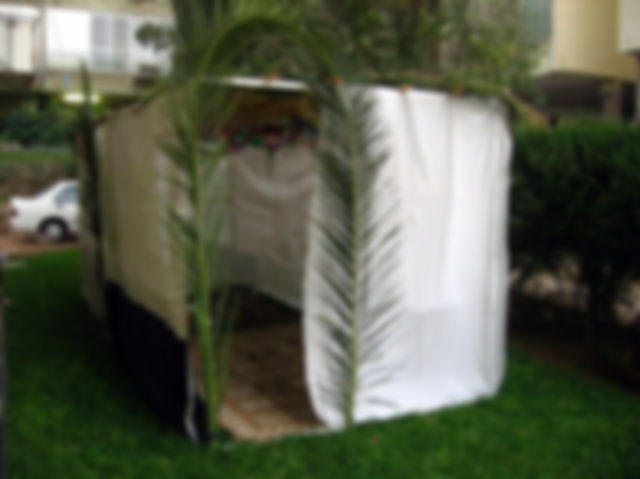 Sukkah- temporary huts made by Jews