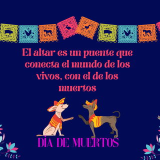 20 frases para compartir el Día de Muertos