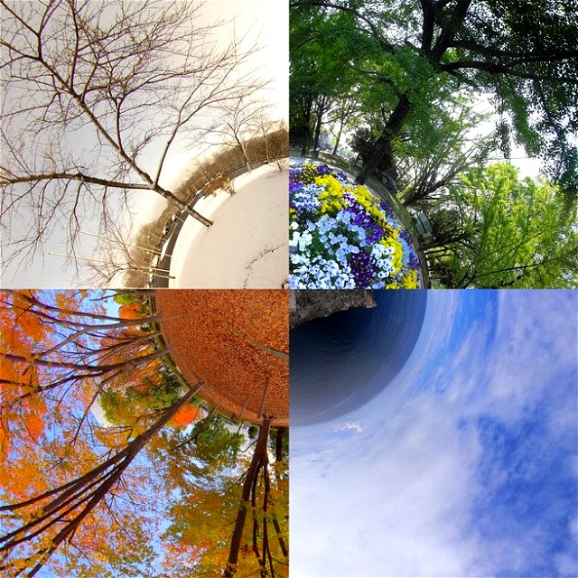 The four seasons of the year shown around a globe.