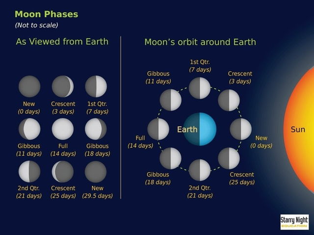 Moon Phases