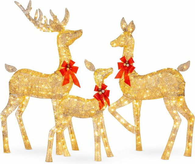 Best Choice Lighted Christmas Deer Family Set