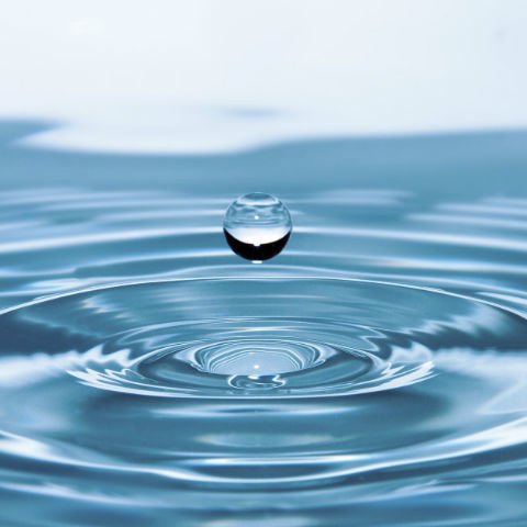 A importância da água: 7 motivos para celebrar o Dia Mundial da Água