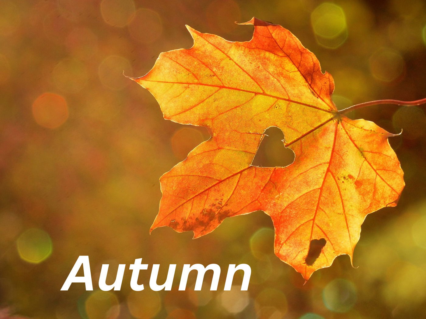 Autumn: History, Celebration and Scientific Facts - Calendarr